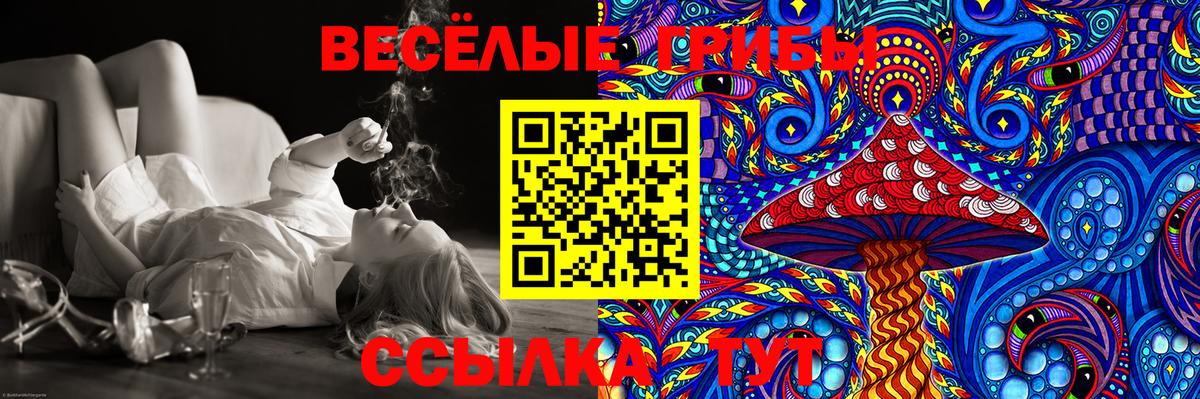 Галлюциногенные грибы мухоморы  Псилоцибиновые грибы MAGIC MUSHROOMS  Вход с VPN  Железноводск 